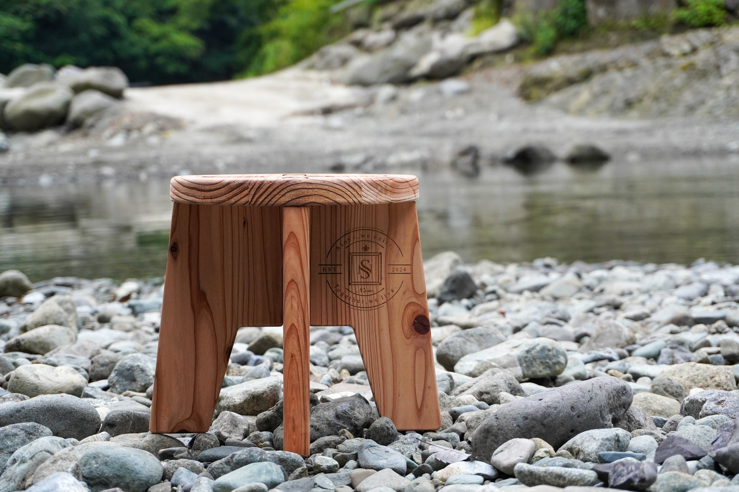 N's Chair